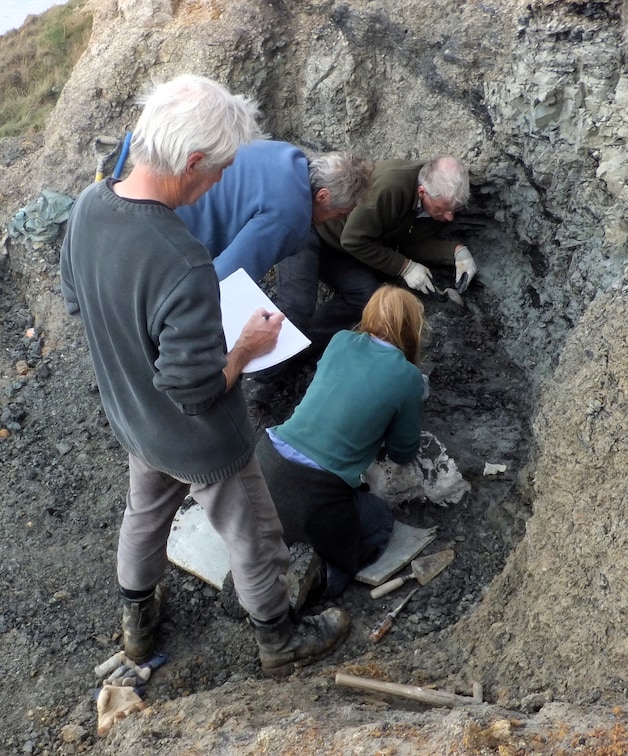 Wetenschappers zijn druk bezig op de opgravingsplek waar de fossielen van een nieuwe soort plantenetende dinosaurus op Isle of Wight zijn gevonden.