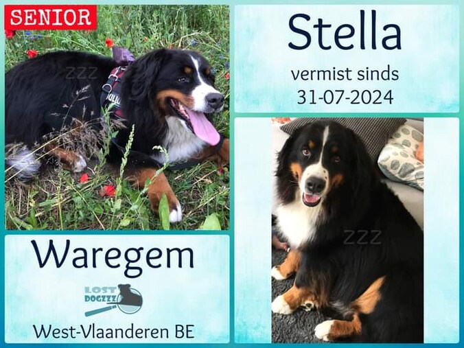 Stella is sinds eind juli vermist