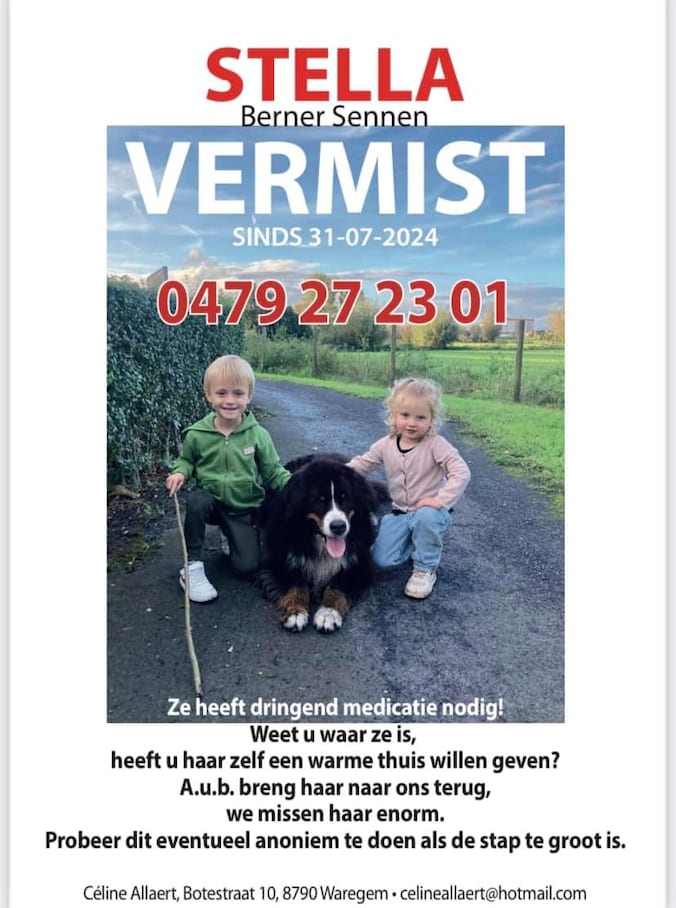 Berner Sennen Stella is sonds 31 juli vermist