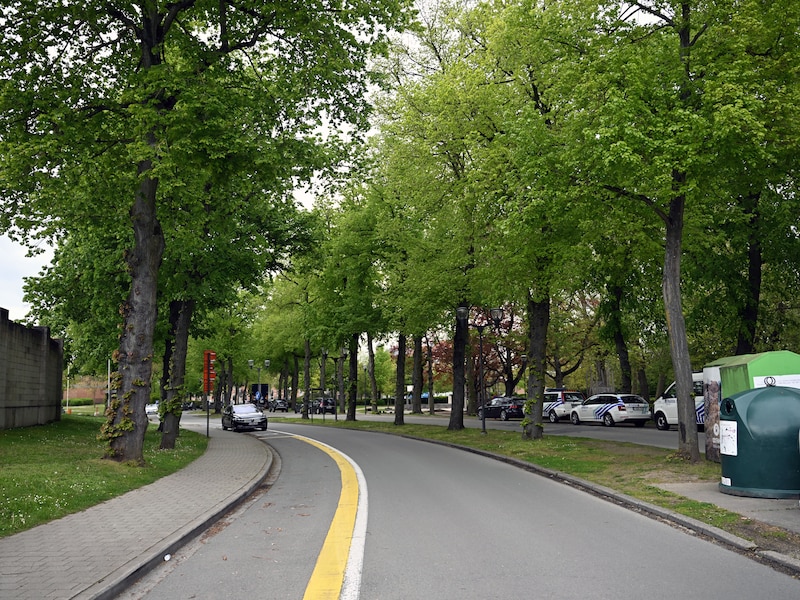 Auto en fietser botsen langs ring in Leuven