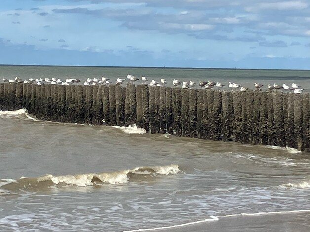 Cadzand-Bad.