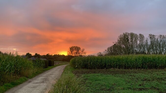 Zonsopgang in Tongeren om 7.58 uur. 