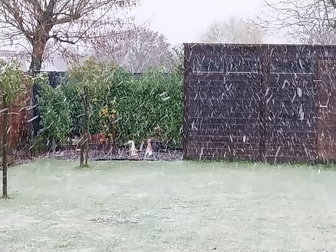 Sneeuw in Lommel