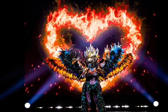 Labradoodle wint ‘The Masked Singer’: “Ik had dit nooit durven dromen ...