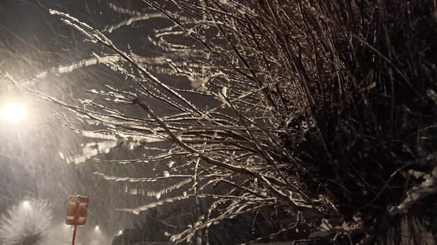 De sneeuw zorgt voor een wit tapijt in Huldenberg.