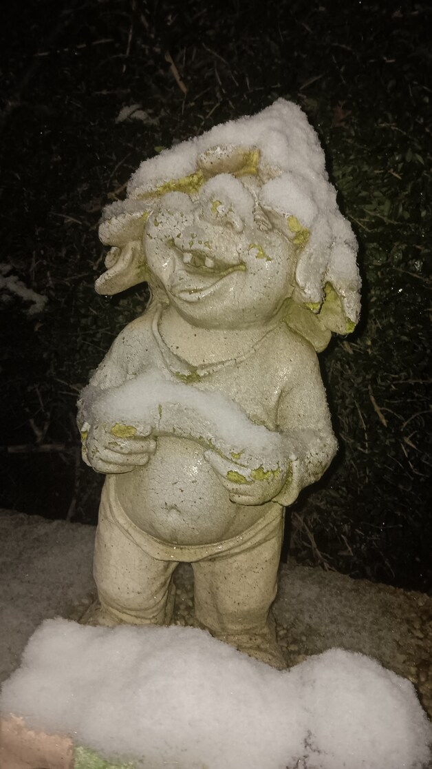 De sneeuw zorgt voor een wit tapijt in Huldenberg.