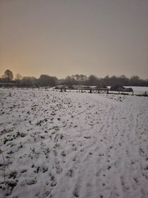 Het sneeuwtapijt in Ieper