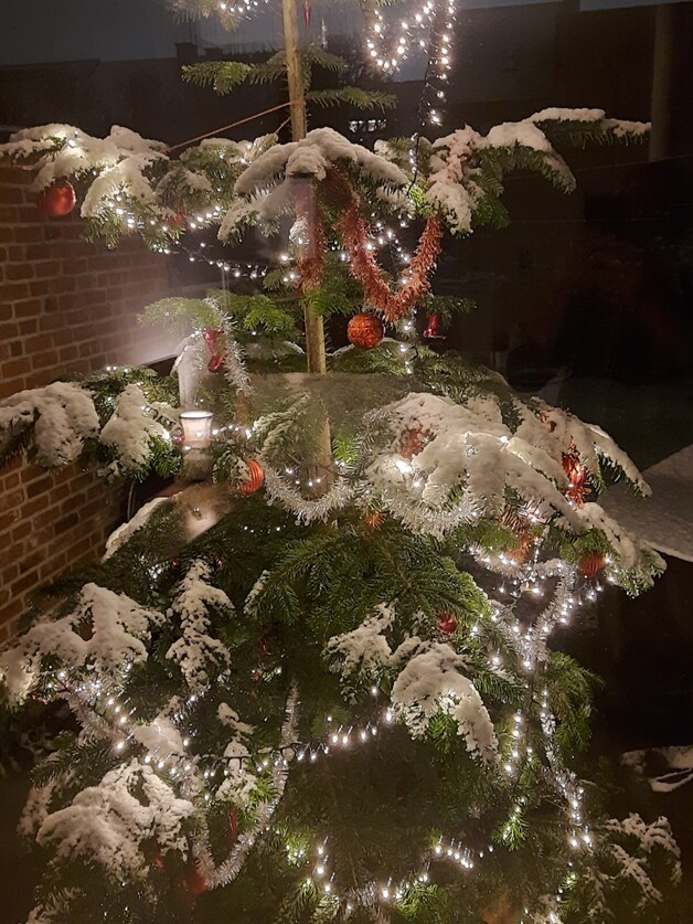 Ondergesneeuwde kerstboom in de tuin van Rob Sanders uit Aartselaar