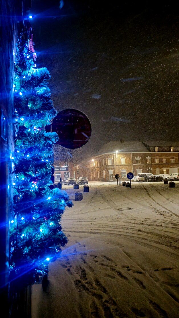 Het sneeuwtapijt, met ondergesneeuwde kerstboom, in Mesen