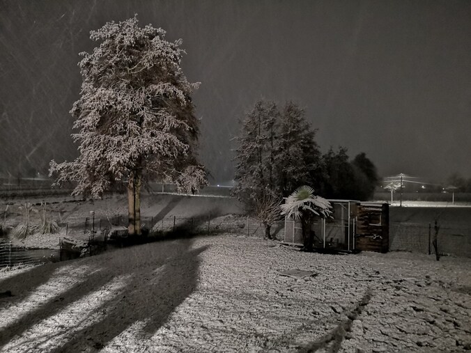 Het sneeuwtapijt in Otegem