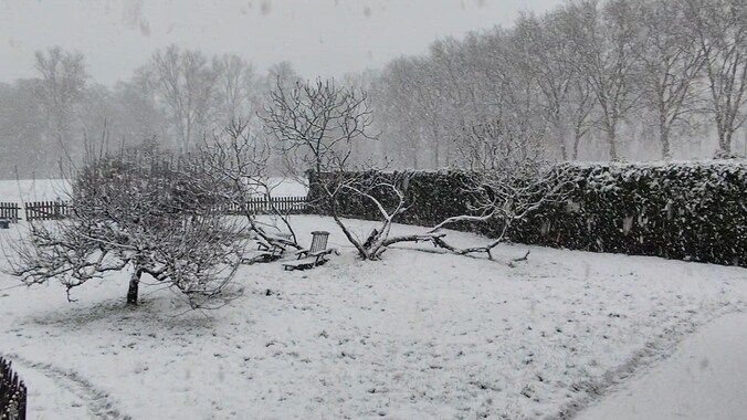 Meerhout is bedekt onder een sneeuwtapijt