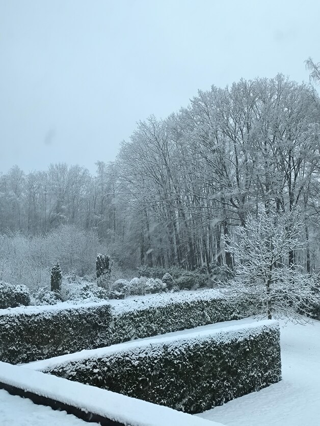 Sneeuw in Sint-Joris-Weert.