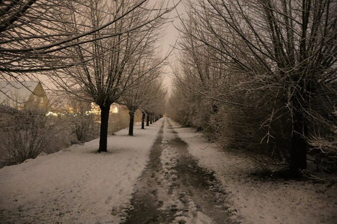 Een besneeuwd wandelpad in Deerlijk
