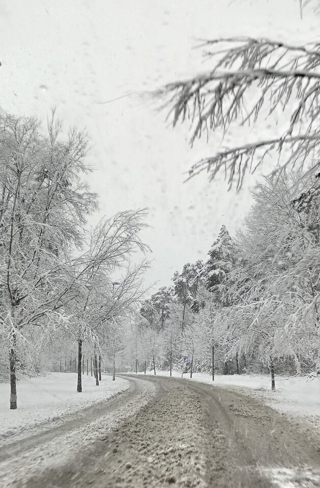 Sneeuwtapijt tot wel 11 centimeter in Lanaken