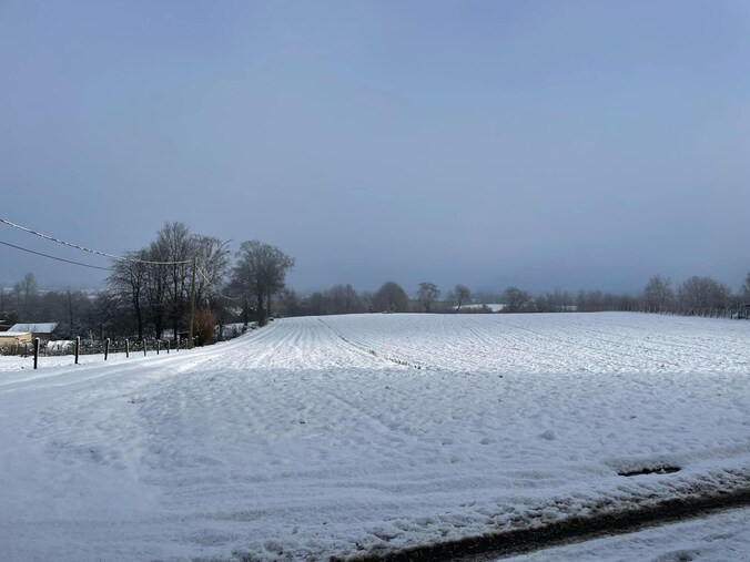 Sneeuw in Erwetegem. 