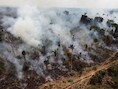 Een foto uit 2009 toont hoe een stuk regenwoud in het noorden van Brazilië illegaal wordt platgebrand.