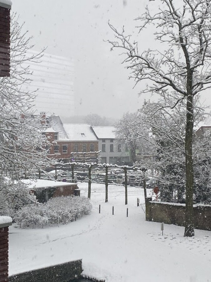 sneeuw Kalken