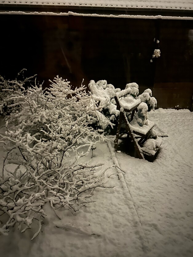 Sneeuw in Berlare