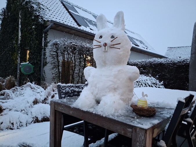 sneeuw Assenede