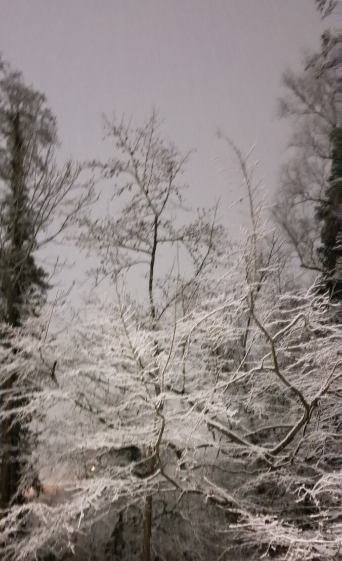 Sneeuwbeeld uit Niel