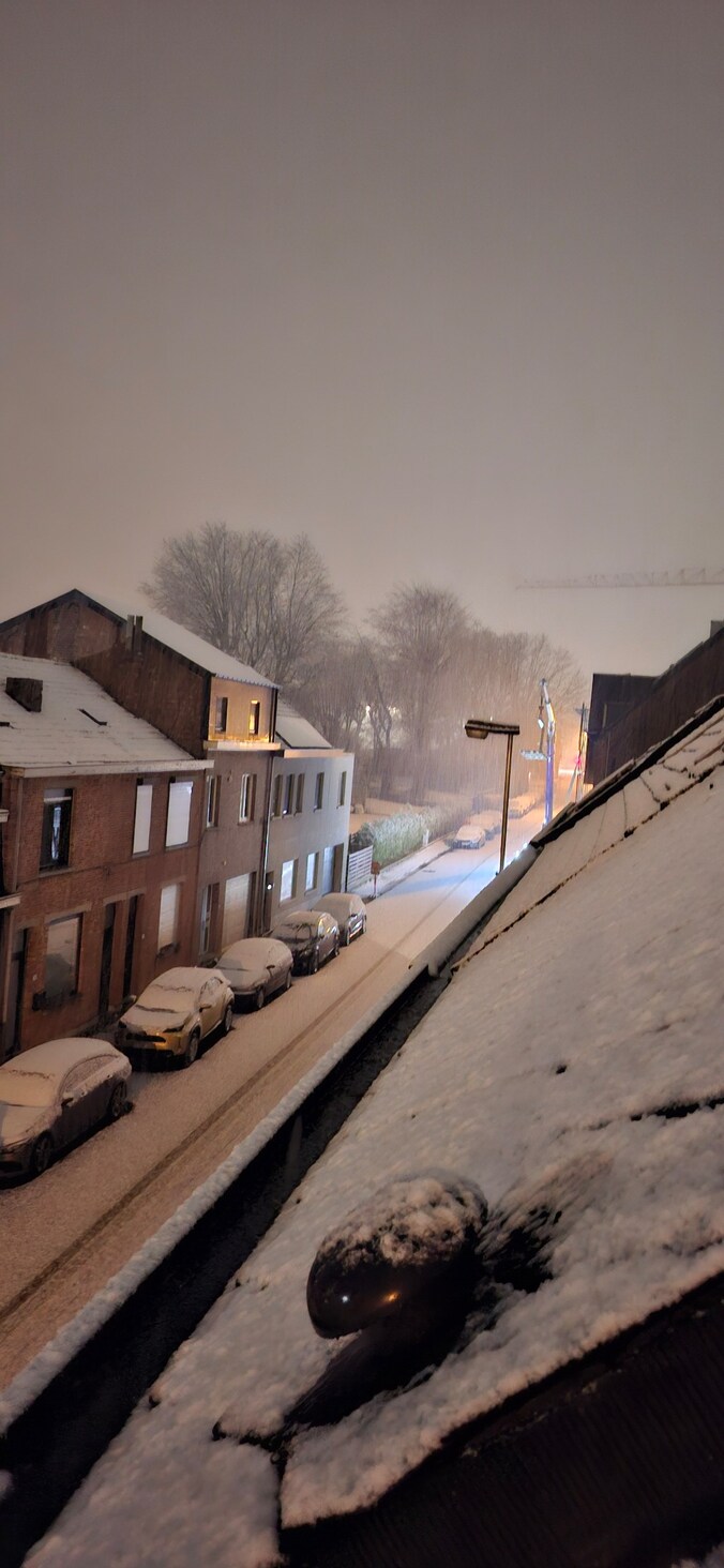Sneeuw in Wetteren