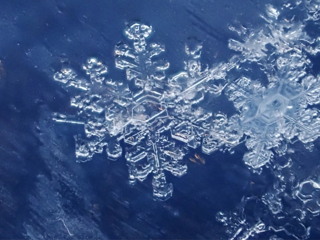 De sneeuwvlokken onder de microscoop 