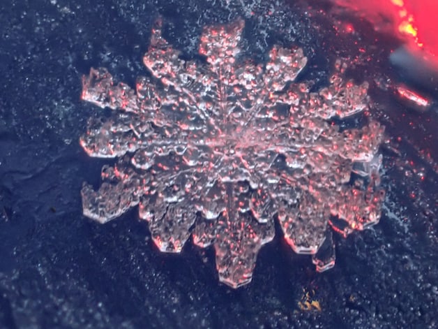 De sneeuwvlokken onder de microscoop 