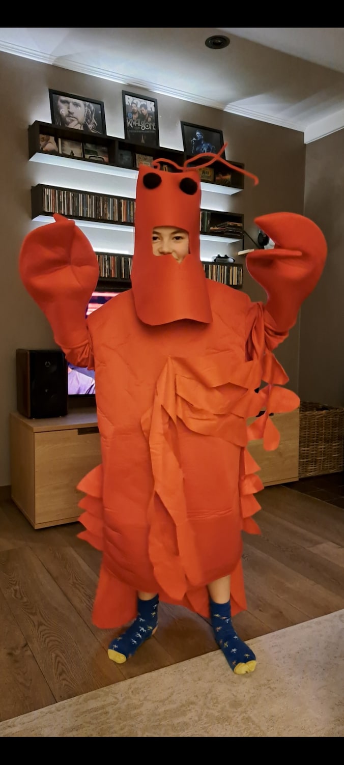 ‘Kreeft’ Rik uit Retie is klaar voor carnaval