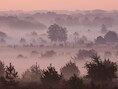 Zon en lokaal nevel of mist in Merchtem in de ochtend