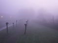 Wolken met lokaal kans op mist, weinig ruimte voor de zon in Geel in de ochtend