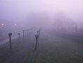 Wolken met lokaal kans op mist, weinig ruimte voor de zon in Zoersel in de ochtend