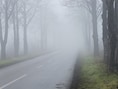 Wolken met lokaal kans op mist, weinig ruimte voor de zon in Zandhoven in de ochtend