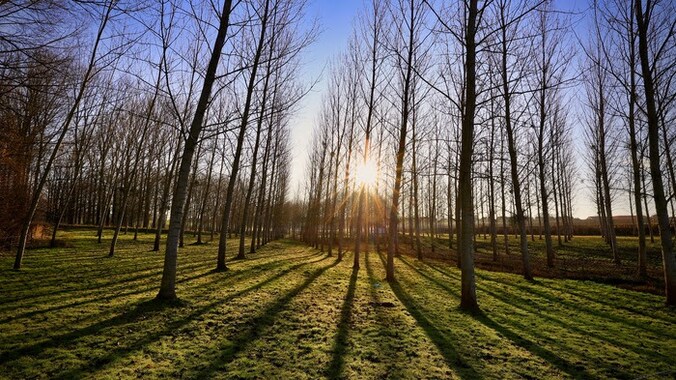 Zonsopgang in Jesseren