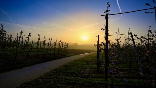 De zonsopgang in Tongeren, om 7.37 uur