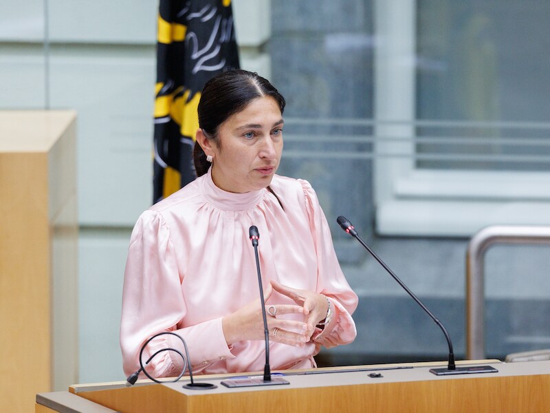 Vlaams minister van Werk Zuhal Demir (N-VA) 