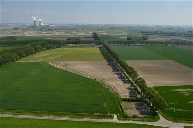 De Hedwigepolder.