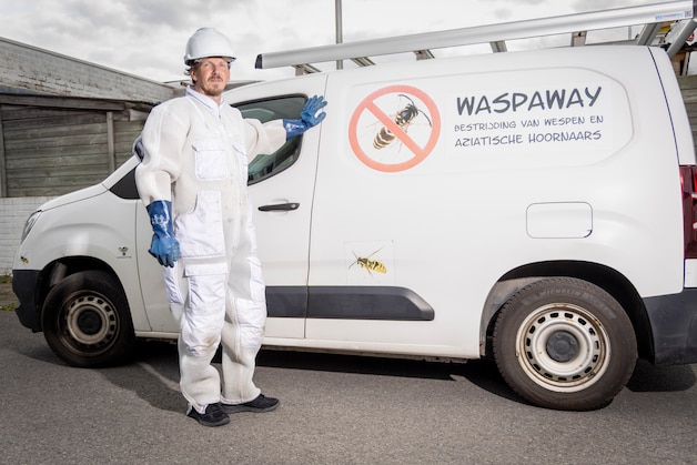 Stormen blazen ook nesten van Aziatische hoornaars uit bomen: “Die zijn ...