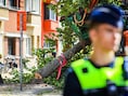 Bomenkap Deurne