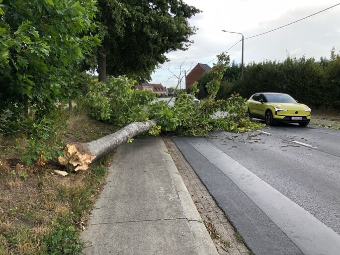De boom viel op het fietspad en versperde bovendien een rijstrook.