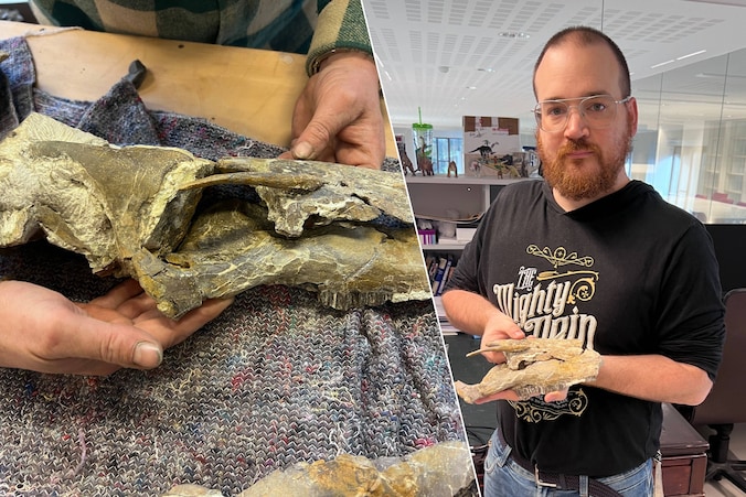 Paleontoloog Filippo Bertozzo van het Instituut voor Natuurwetenschappen met de schedel van de Cariocecus bocagei.