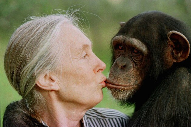 Jane Goodall in 1997 in Nairobi