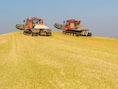 Biobrandstoffen stoten meer CO2 uit dan de fossiele brandstoffen die ze vervangen: “Verschrikkelijke klimaatoplossing”