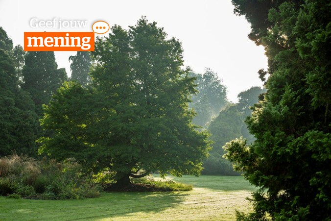 Arboretum in Kalmthout
