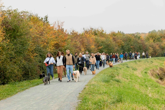 60 hondenliefhebbers trokken er samen met hun viervoeters op uit.