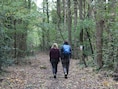 Zonnebeke organiseert Verwonderwandeling in het Zandvoordebos