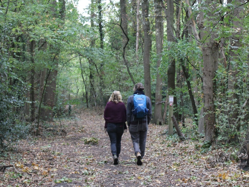 Zonnebeke organiseert Verwonderwandeling in het Zandvoordebos