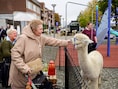 Streetparty, vuurwerk en dierenplezier: Boom maakt zich op voor vernieuwde jaarmarkt