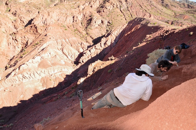 Onderzoekers aan het werk in het gebied waar de resten van Huayracursor jaguensis werden gevonden in Quebrada de Santo Domingo, provincie La Rioja, Argentinië, maart 2018