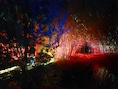 Zesde en laatste editie van Plantentuin by Night