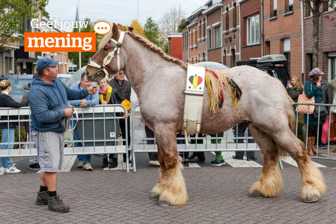 De jaarmarkt van Schelle. 